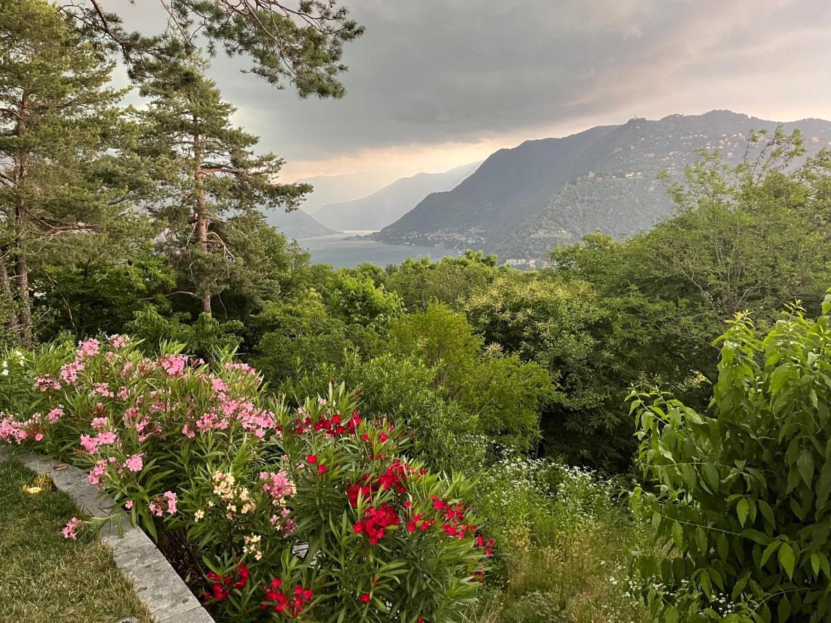 Studio - Villa Cardano Côme Esterno foto